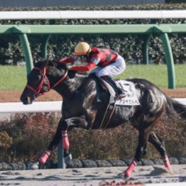 【東京本紙・外山の日曜中山10Ｒ】