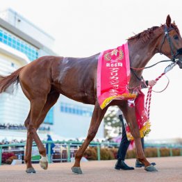 【有馬記念】ダノンデサイル　コースの勝ち方知る騎手に期待