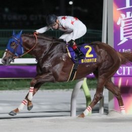【東京大賞典】勝つのはルメールのミッキーファイト