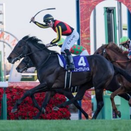 【有馬記念】ミュージアムマイルの勝利であらためて示した２つのこと