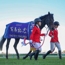 ミュージアムマイル小回り向きの血が得意の中山で本領発揮