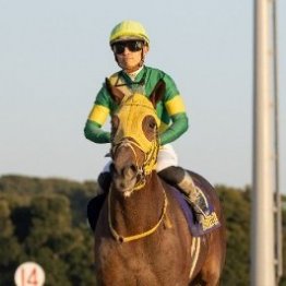 日本のダート競馬は新たな時代へ