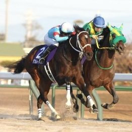 日本のダート競馬は新たな時代へ