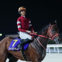 日本のダート競馬は新たな時代へ