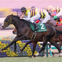 【木津の日曜競馬コラム・中山金杯】