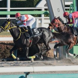 【東京本紙・外山の日曜中山９Ｒ】