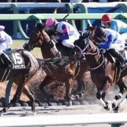 	【東京本紙・外山の日曜中山12Ｒ】