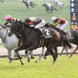 【市川の月曜競馬コラム・万葉Ｓ】