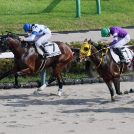【飯島の月曜競馬コラム・初茜賞】