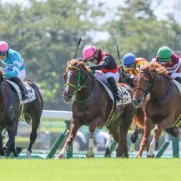 【木津の月曜競馬コラム・初日の出賞】