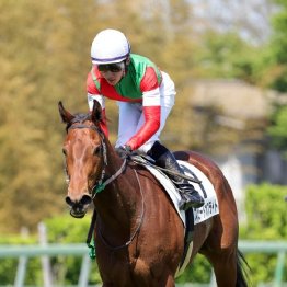 【大谷の月曜競馬コラム・サンライズＳ】