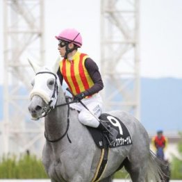 【武田の月曜競馬コラム・万葉Ｓ】