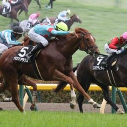 【東京本紙・外山の月曜中山11Ｒ】