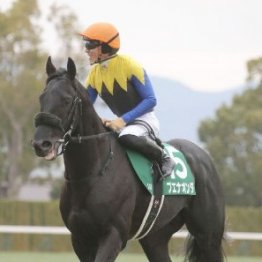 【京都金杯】レース後の談話（ネットオリジナル含む）