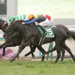 【京都金杯】ブエナオンダはマイルでタレント揃いの５歳世代