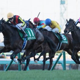 京都外回りマイルで買えるリオンディーズ産駒