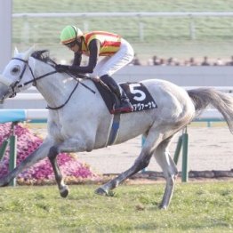 【万葉Ｓ】アクアヴァーナルが１番人気に応えて完勝