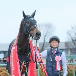 【フェアリーＳ】フルゲートで大激戦ムード