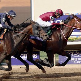 【２０２５年度ＪＲＡ賞】海外ＧⅠ２勝フォーエバーヤングが年度代表馬に