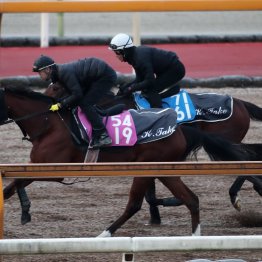 【フェアリーＳ】調教マル得チェック②