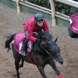 【フェアリーＳ】調教マル得チェック②