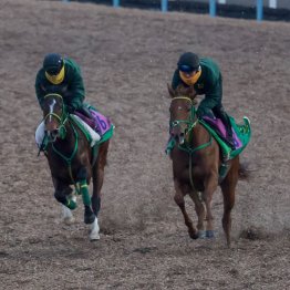 【フェアリーＳ】調教マル得チェック①