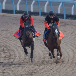 【フェアリーＳ】ノーザンタイタン格上相手にも余裕の走り