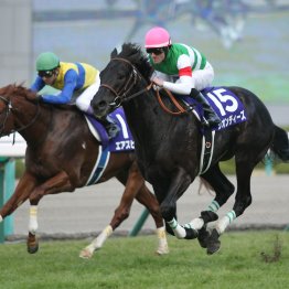 種牡馬リオンディーズの最大の特徴は特徴のなさ！？