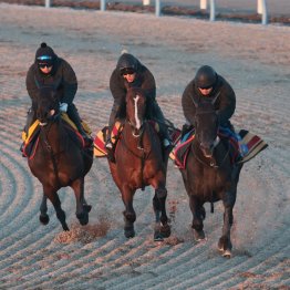 【シンザン記念】調教マル得チェック②
