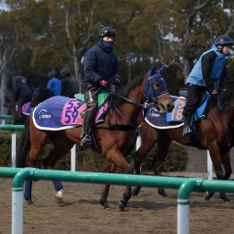 【シンザン記念】調教マル得チェック②