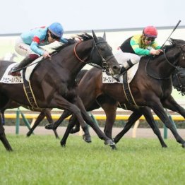 【木津の土曜競馬コラム・迎春Ｓ】