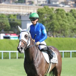 【藤岡の土曜競馬コラム・鹿ケ谷特別】