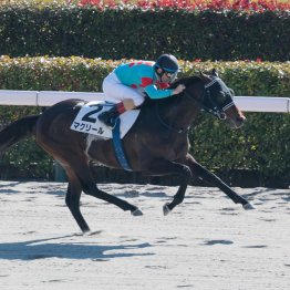 【新谷の土曜競馬コラム・黒竹賞】