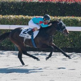 【東京本紙・外山の土曜中山９Ｒ】