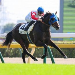 【東京本紙・外山の土曜中山10Ｒ】