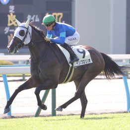 【大阪本紙・弘中の土曜京都10Ｒ】