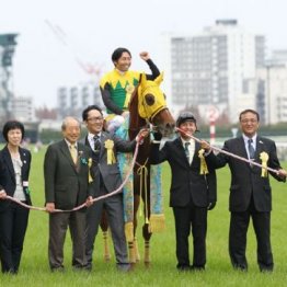 【飯島の日曜競馬コラム・中山３Ｒ】