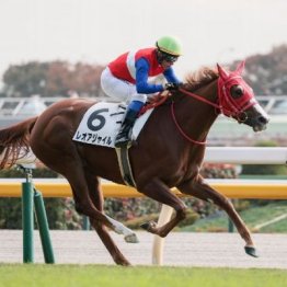 【大谷の日曜競馬コラム・フェアリーＳ】