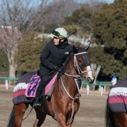【橘の日曜競馬コラム・フェアリーＳ】