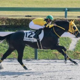【レスキュー隊の日曜競馬コラム・中山12Ｒ】
