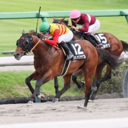 【東京本紙・外山の日曜中山10Ｒ】