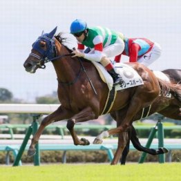 【東京本紙・外山のフェアリーＳ】