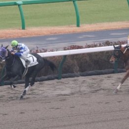 【飯島の月曜競馬コラム・成田特別】