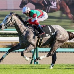 【木津の月曜競馬コラム・月曜中山11Ｒ】