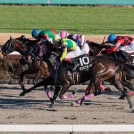 【東京本紙・外山の月曜中山10Ｒ】