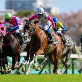 【東京本紙・外山の月曜中山11Ｒ】