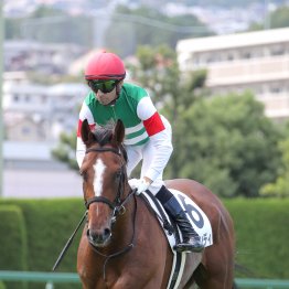 【大阪本紙・弘中の月曜京都９Ｒ】