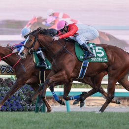 リーディングサイヤーから振り返る昨年の中央競馬