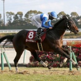 【日経新春杯】４～７歳世代がエントリー