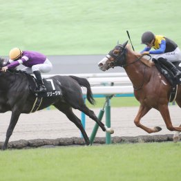 【紅梅Ｓ】リリージョワ３連勝なるか